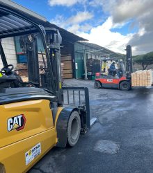 PHOTO-2026-01-27-15-37-26