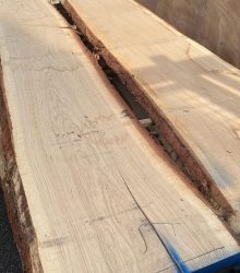 TAVOLE ROVERE SLAVONIA