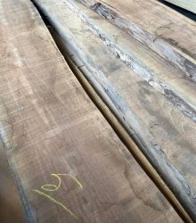 TAVOLE NOCE NAZIONALE