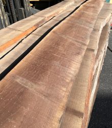 TAVOLE NOCE CANALETTO